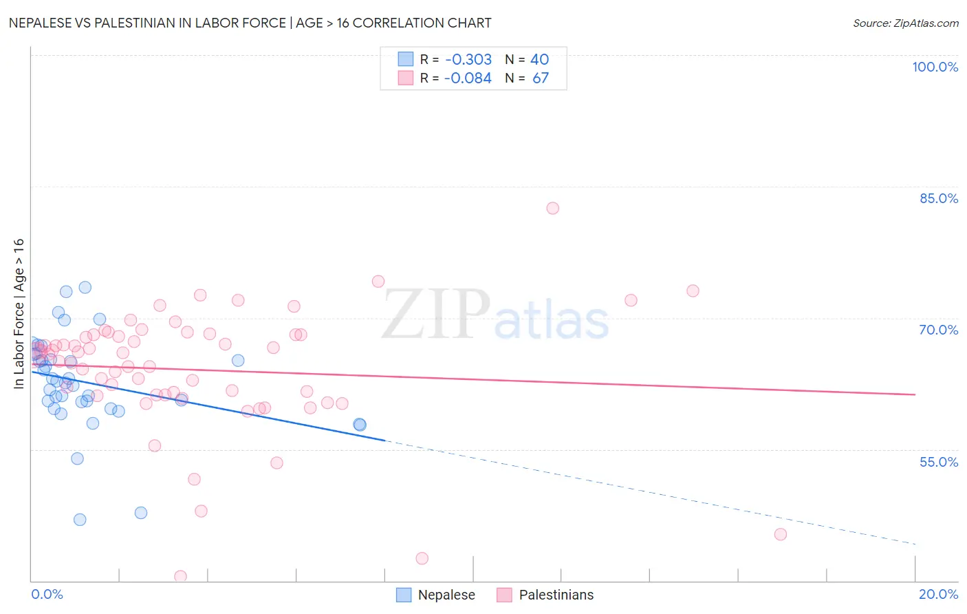 Nepalese vs Palestinian In Labor Force | Age > 16
