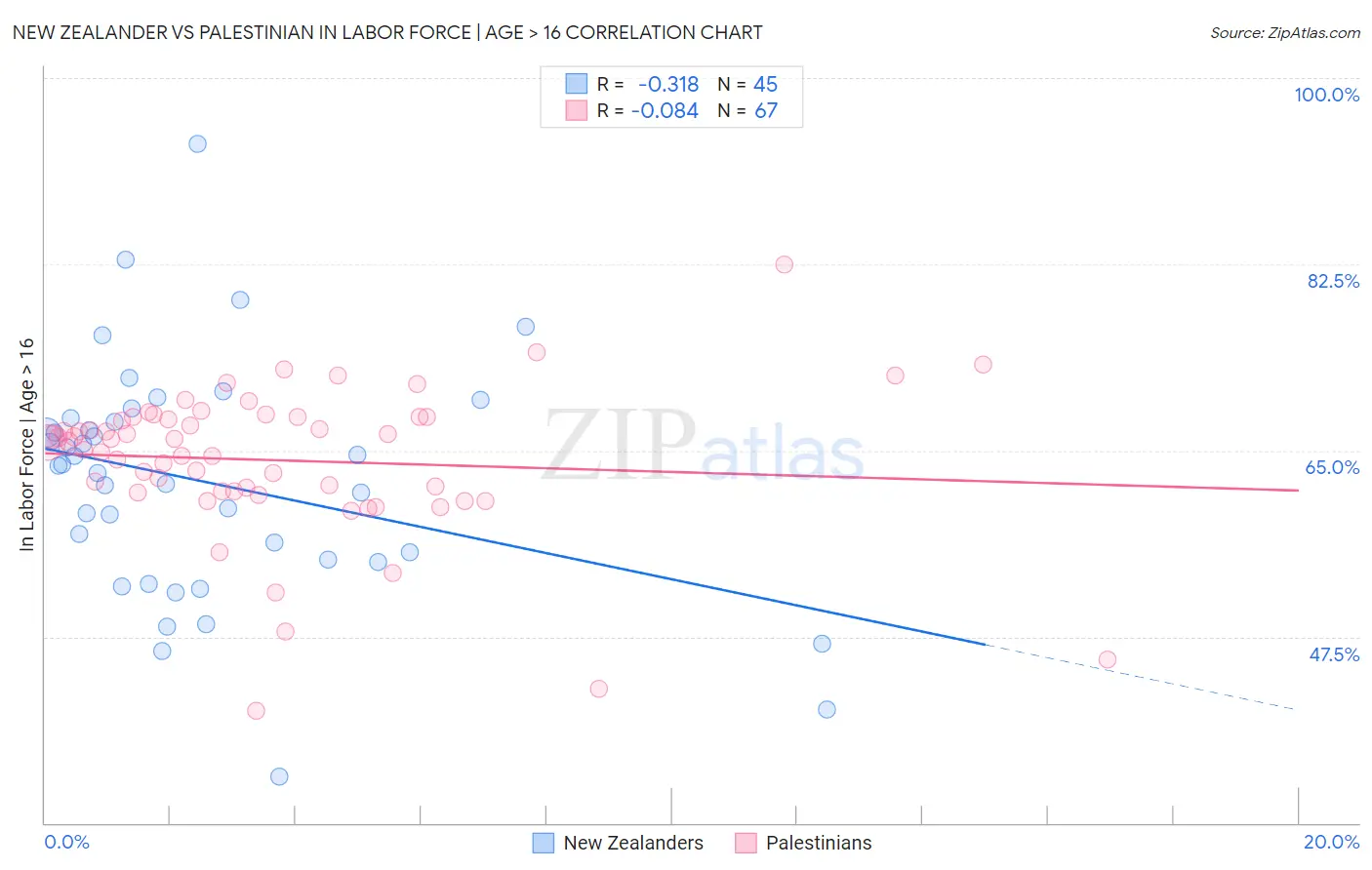 New Zealander vs Palestinian In Labor Force | Age > 16