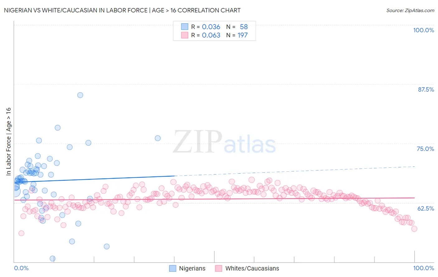 Nigerian vs White/Caucasian In Labor Force | Age > 16