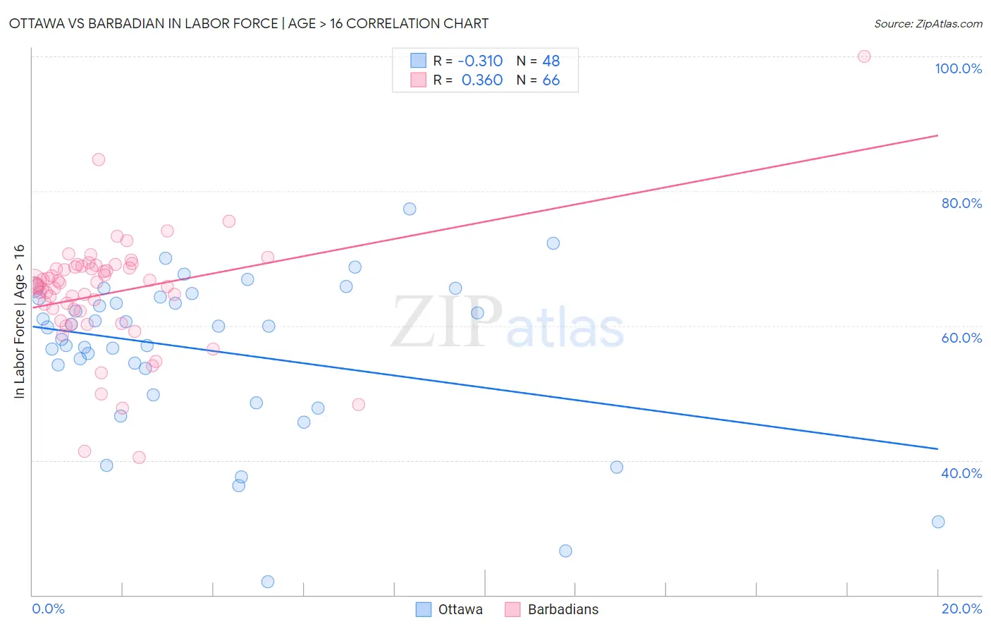 Ottawa vs Barbadian In Labor Force | Age > 16