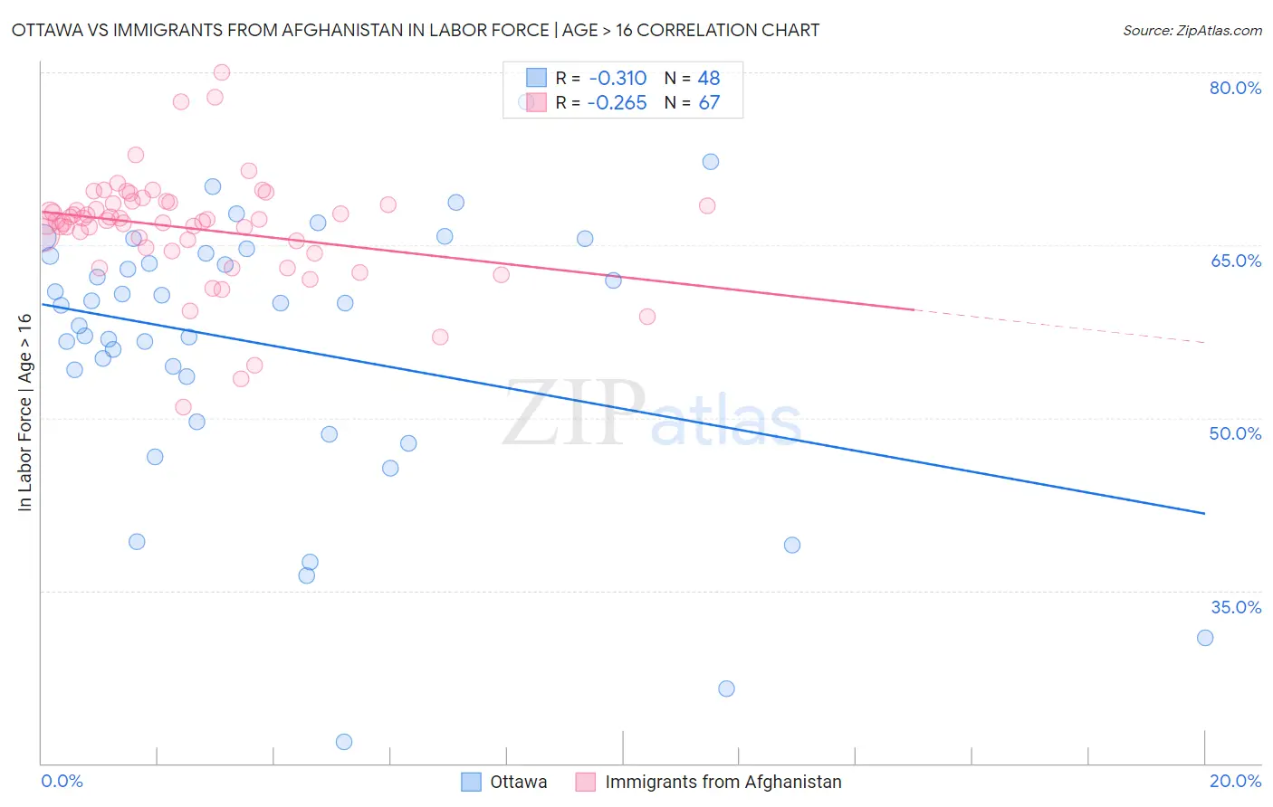 Ottawa vs Immigrants from Afghanistan In Labor Force | Age > 16