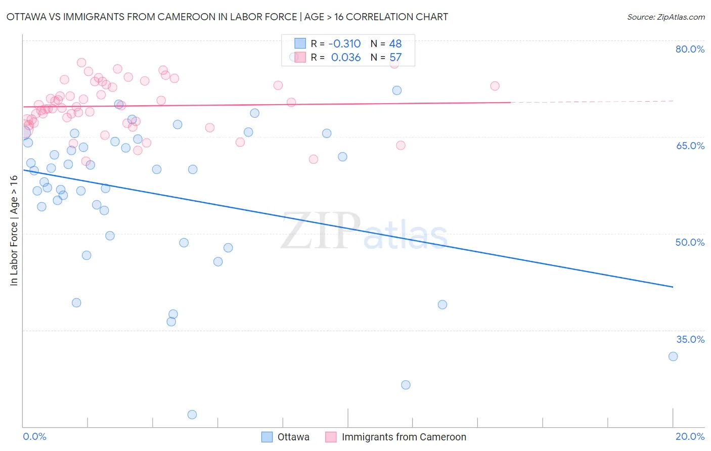 Ottawa vs Immigrants from Cameroon In Labor Force | Age > 16