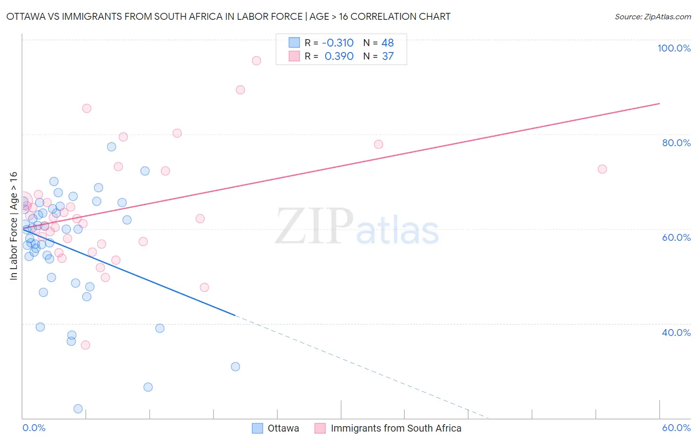 Ottawa vs Immigrants from South Africa In Labor Force | Age > 16