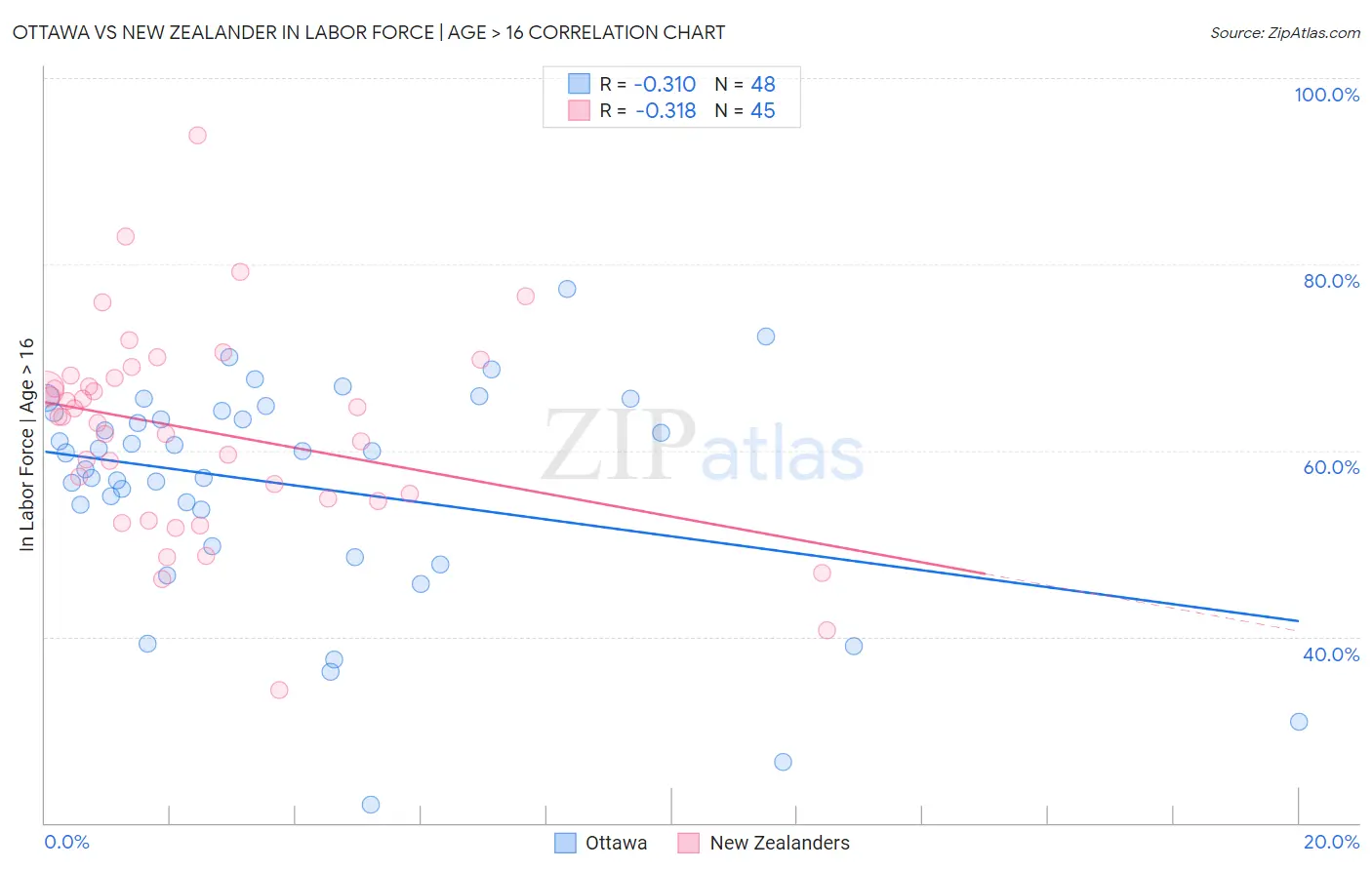 Ottawa vs New Zealander In Labor Force | Age > 16