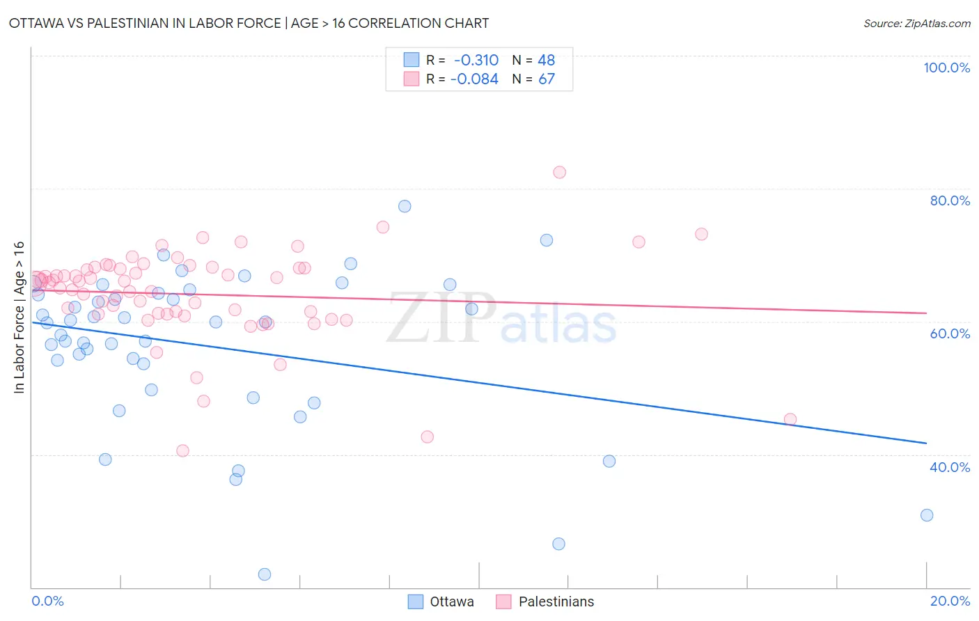 Ottawa vs Palestinian In Labor Force | Age > 16