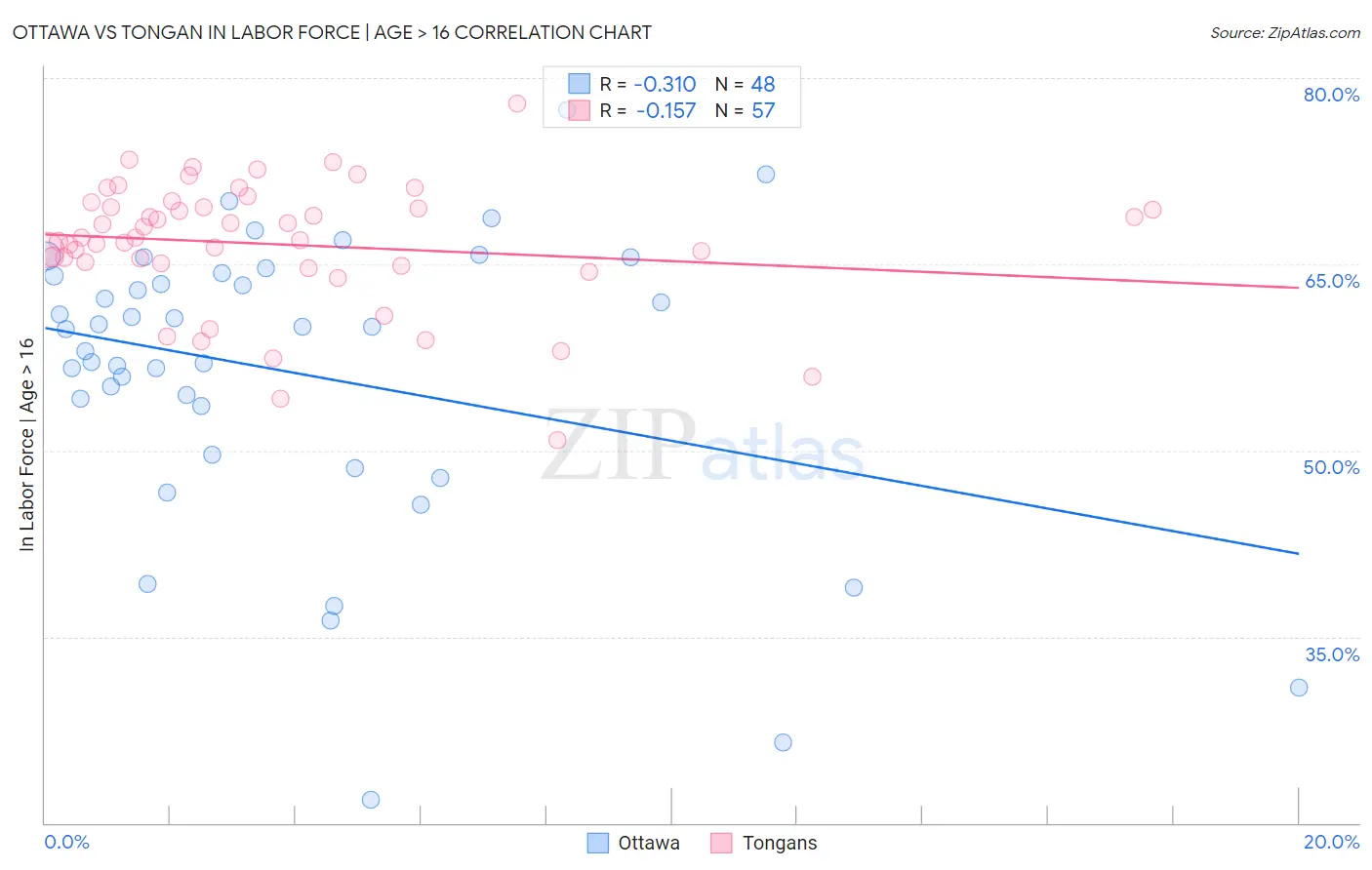Ottawa vs Tongan In Labor Force | Age > 16