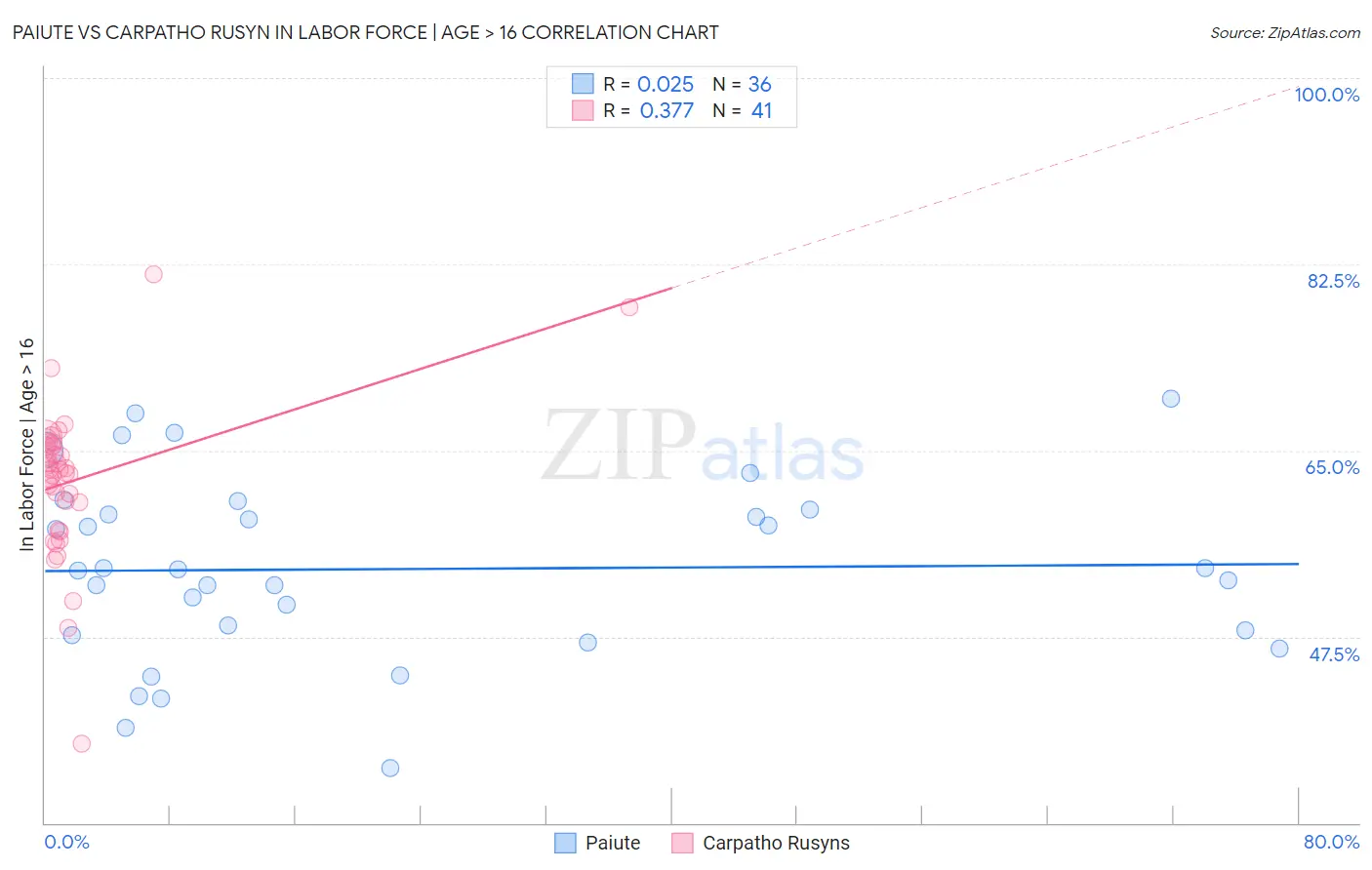 Paiute vs Carpatho Rusyn In Labor Force | Age > 16