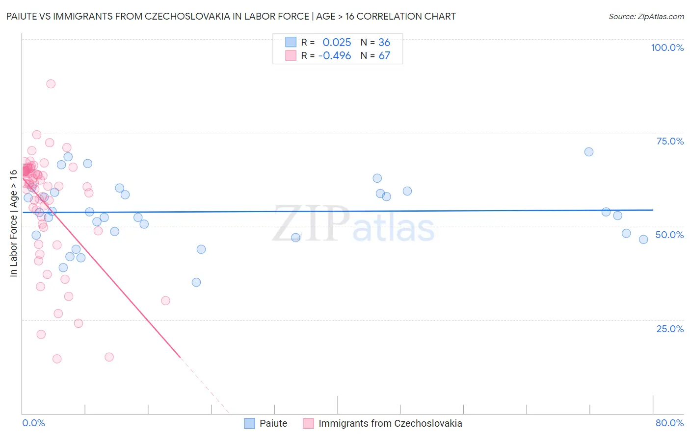 Paiute vs Immigrants from Czechoslovakia In Labor Force | Age > 16