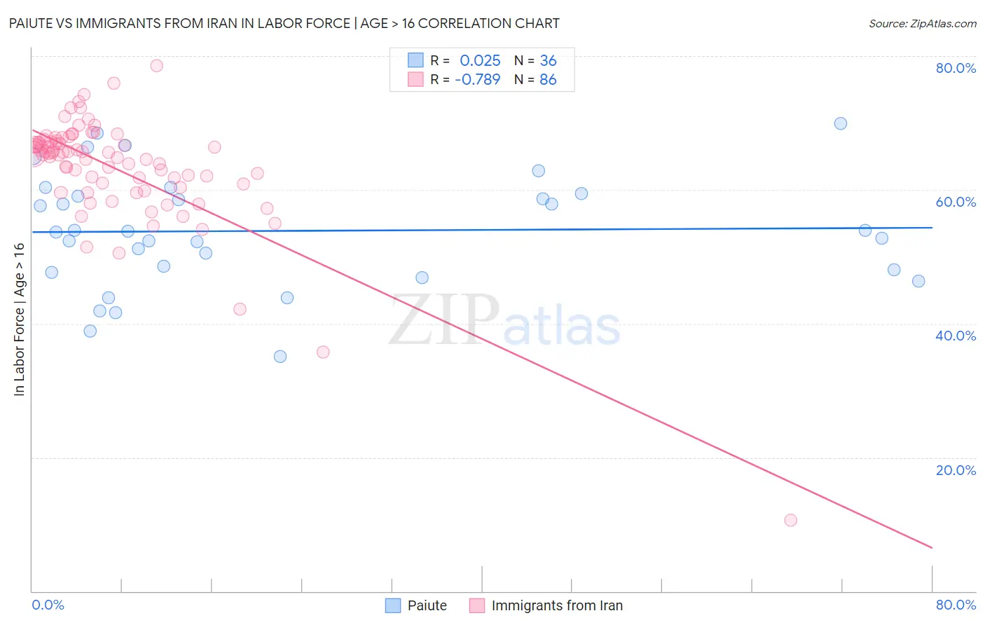 Paiute vs Immigrants from Iran In Labor Force | Age > 16