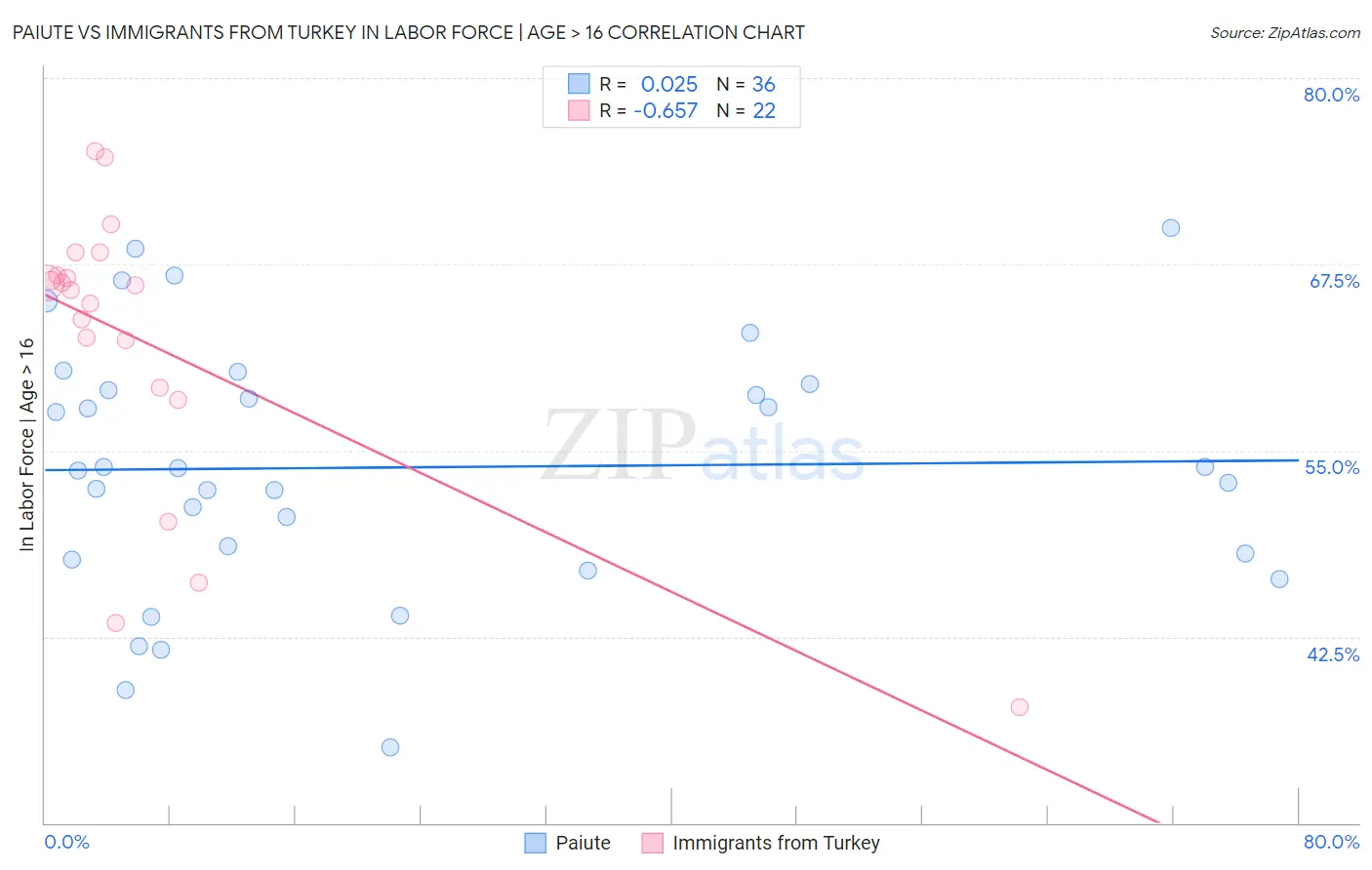 Paiute vs Immigrants from Turkey In Labor Force | Age > 16