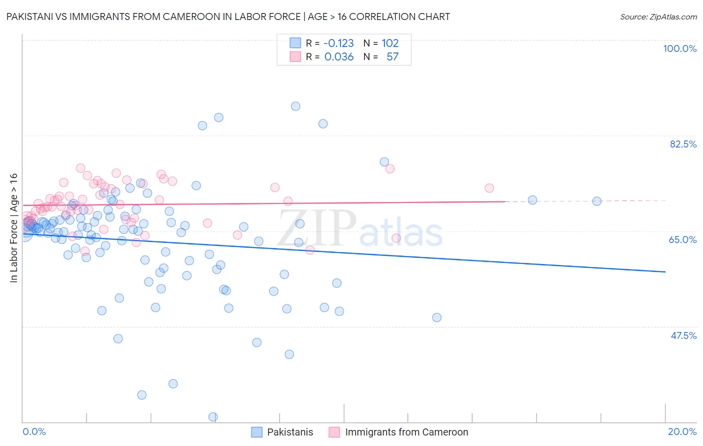 Pakistani vs Immigrants from Cameroon In Labor Force | Age > 16