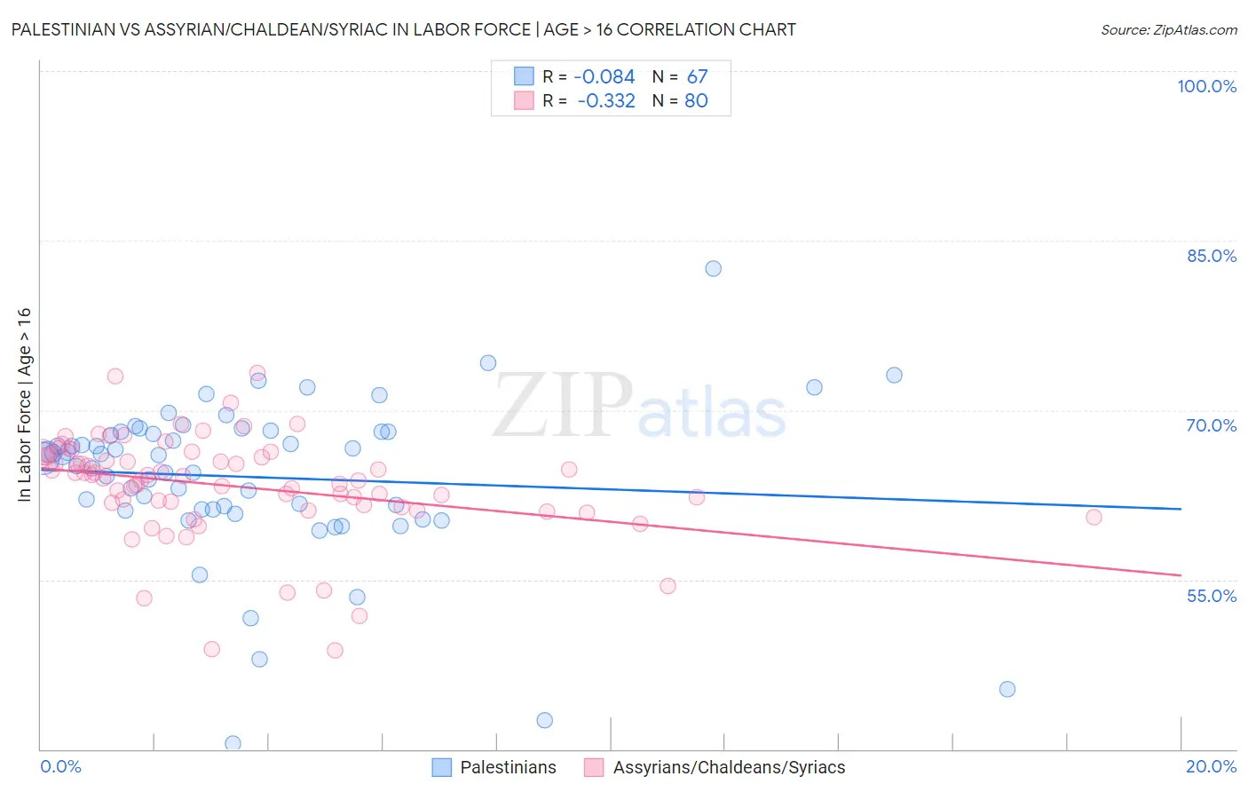 Palestinian vs Assyrian/Chaldean/Syriac In Labor Force | Age > 16
