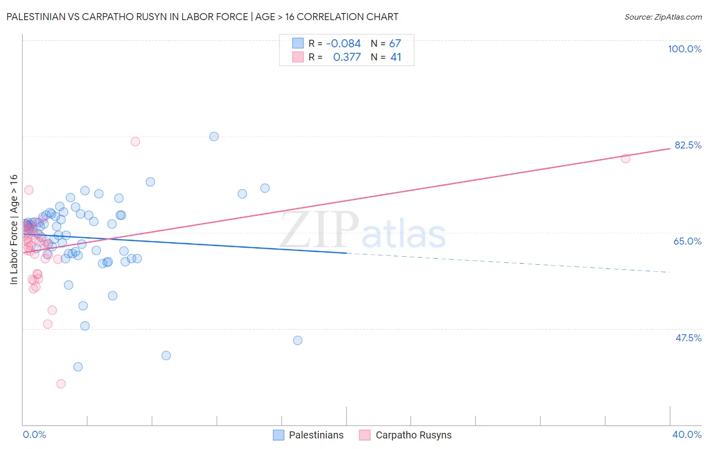 Palestinian vs Carpatho Rusyn In Labor Force | Age > 16