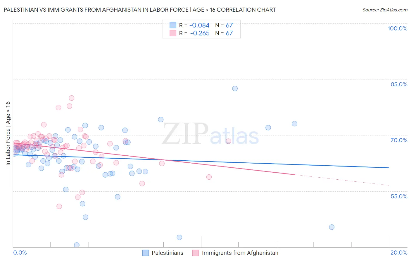Palestinian vs Immigrants from Afghanistan In Labor Force | Age > 16