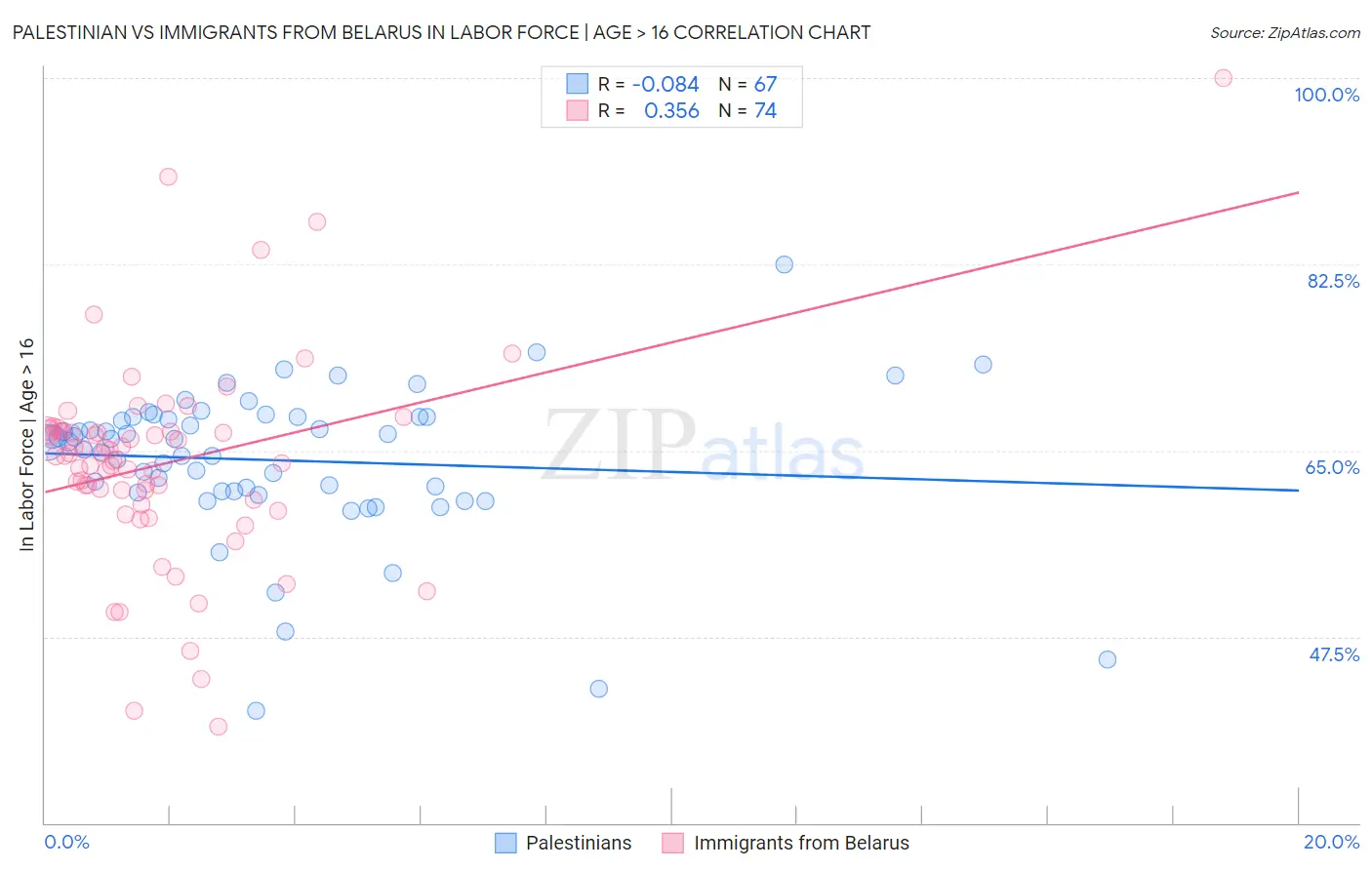 Palestinian vs Immigrants from Belarus In Labor Force | Age > 16