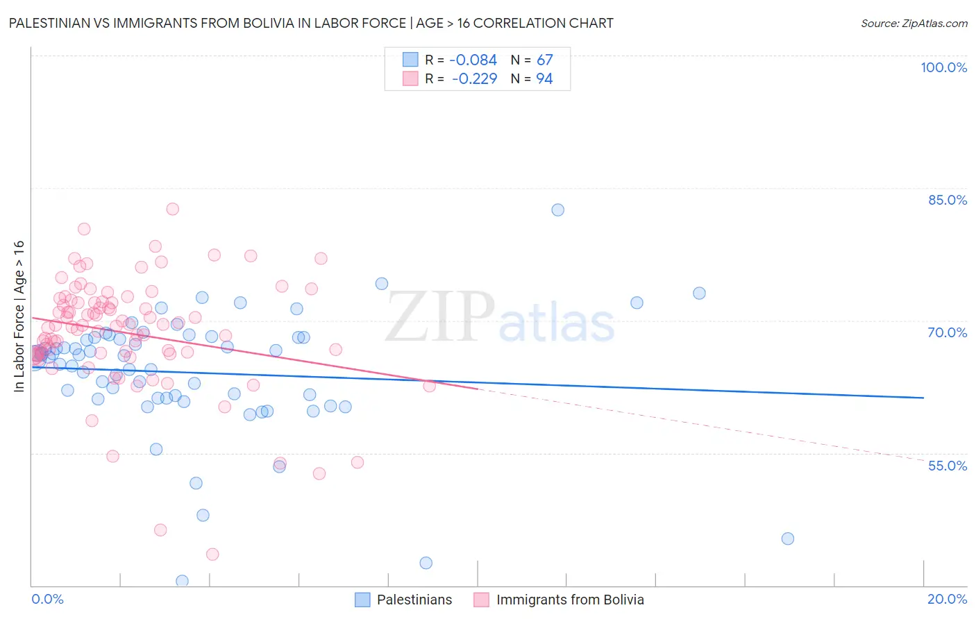Palestinian vs Immigrants from Bolivia In Labor Force | Age > 16