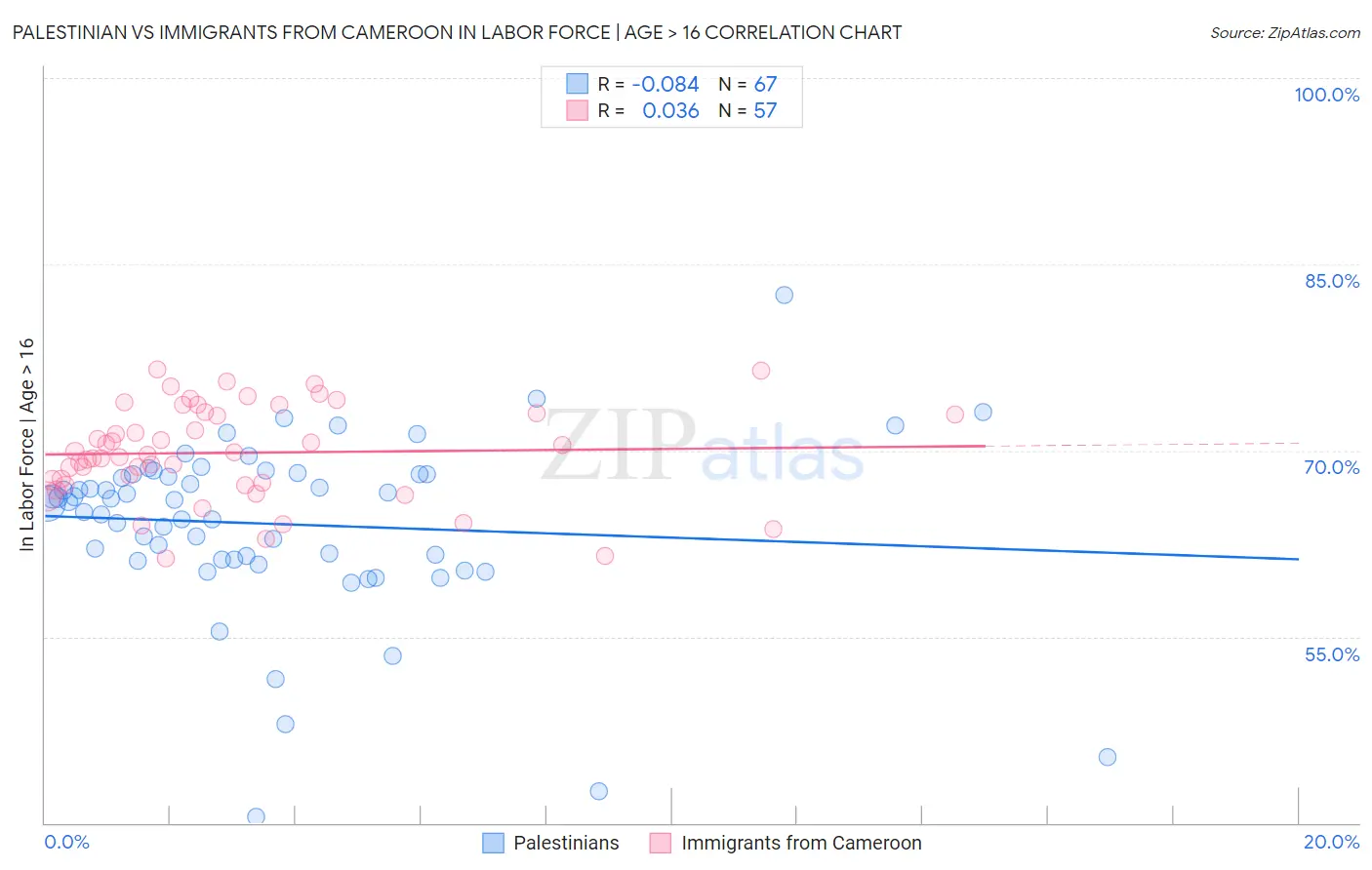 Palestinian vs Immigrants from Cameroon In Labor Force | Age > 16