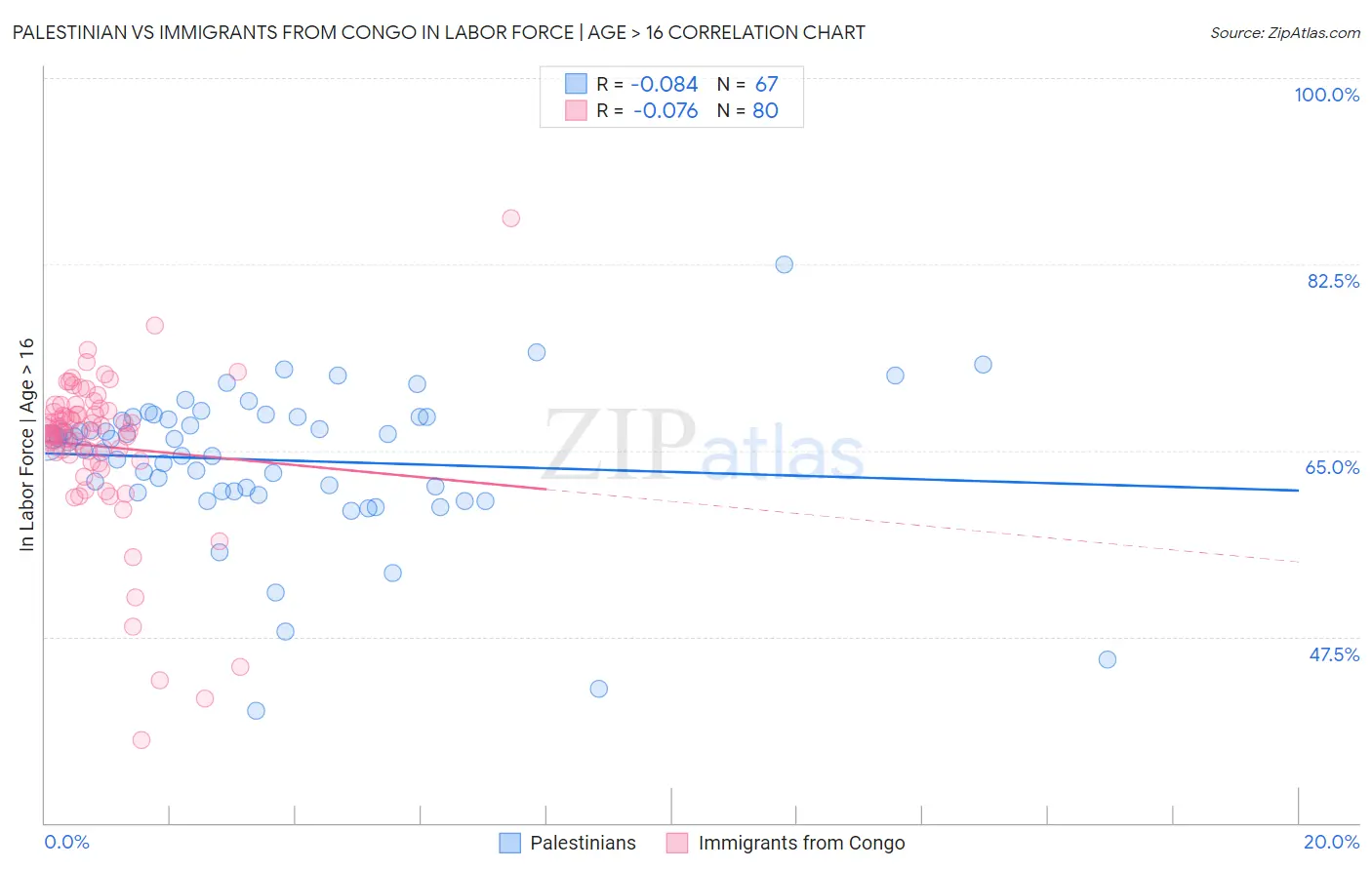 Palestinian vs Immigrants from Congo In Labor Force | Age > 16