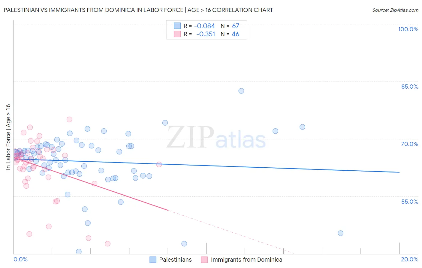 Palestinian vs Immigrants from Dominica In Labor Force | Age > 16