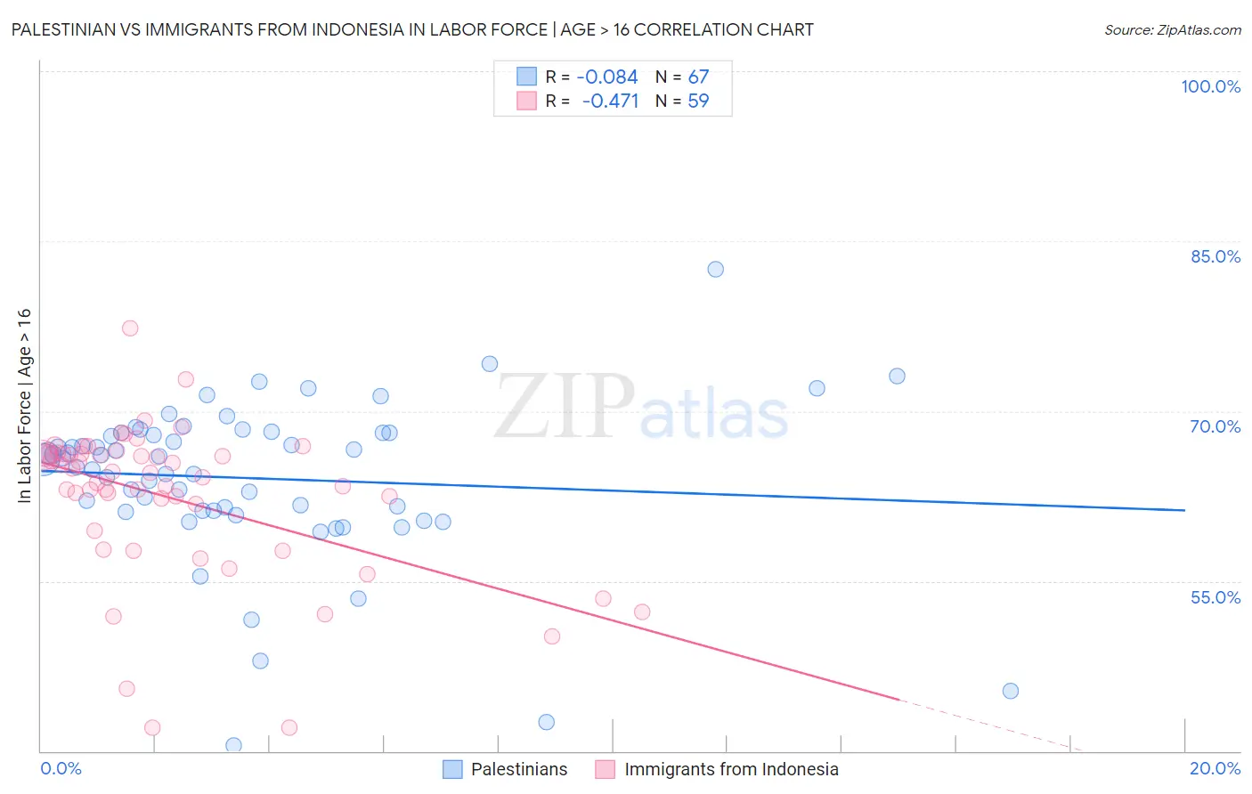 Palestinian vs Immigrants from Indonesia In Labor Force | Age > 16