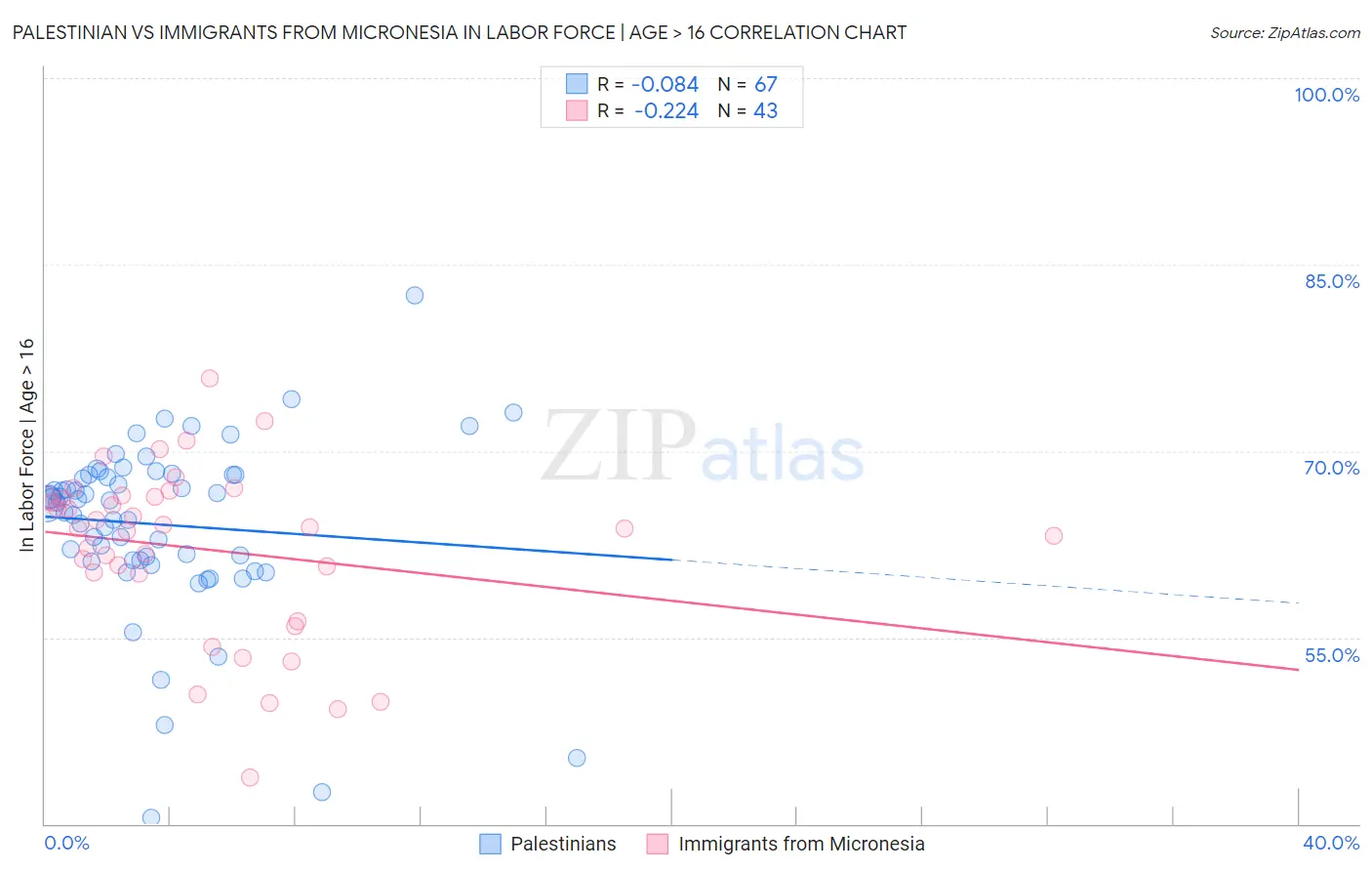Palestinian vs Immigrants from Micronesia In Labor Force | Age > 16