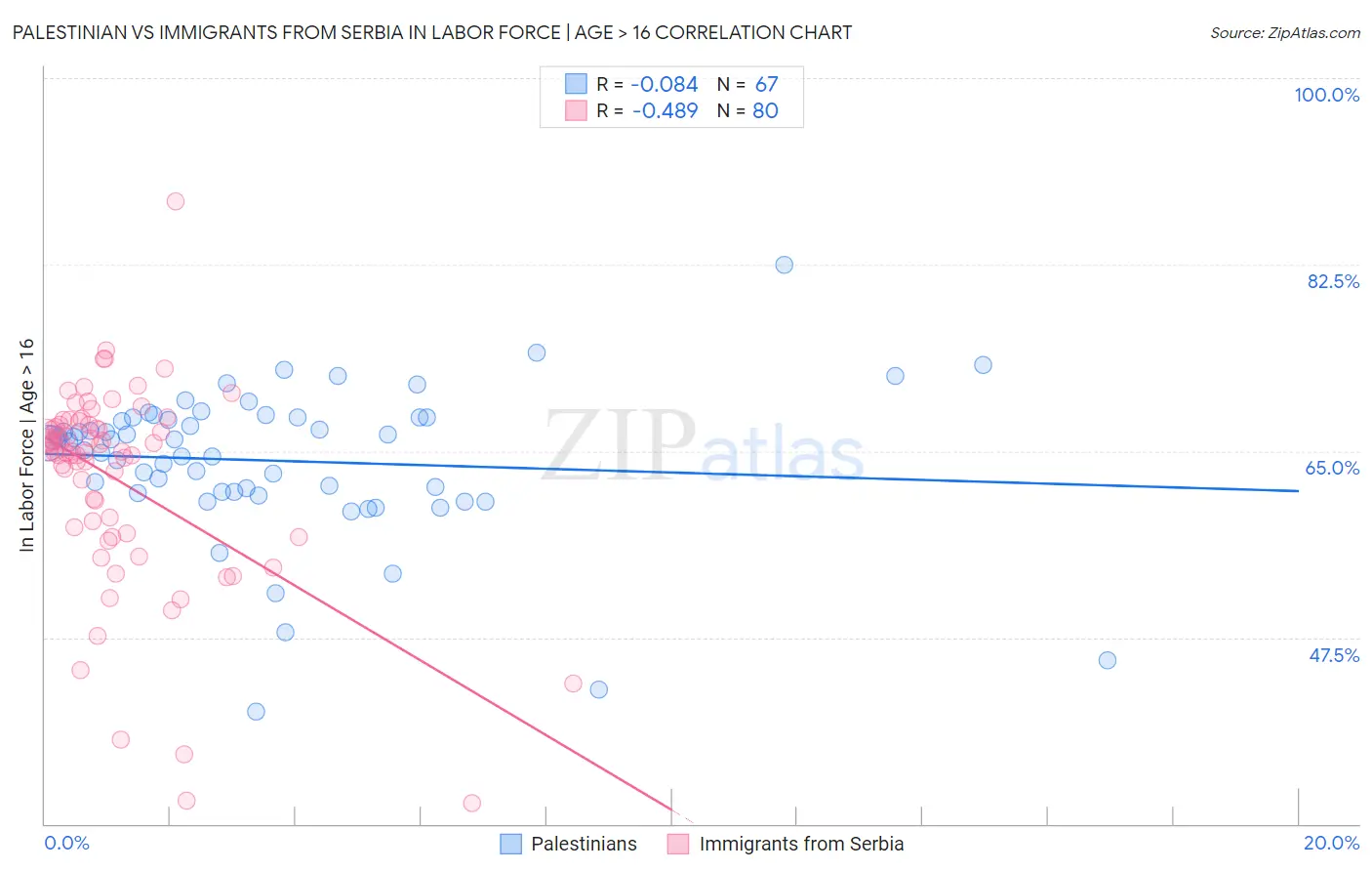 Palestinian vs Immigrants from Serbia In Labor Force | Age > 16