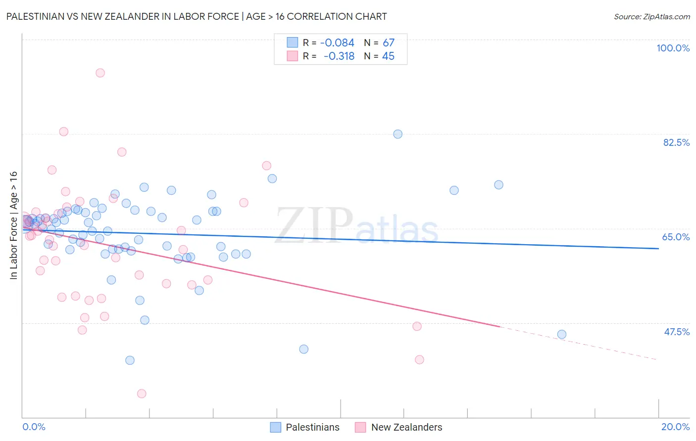 Palestinian vs New Zealander In Labor Force | Age > 16