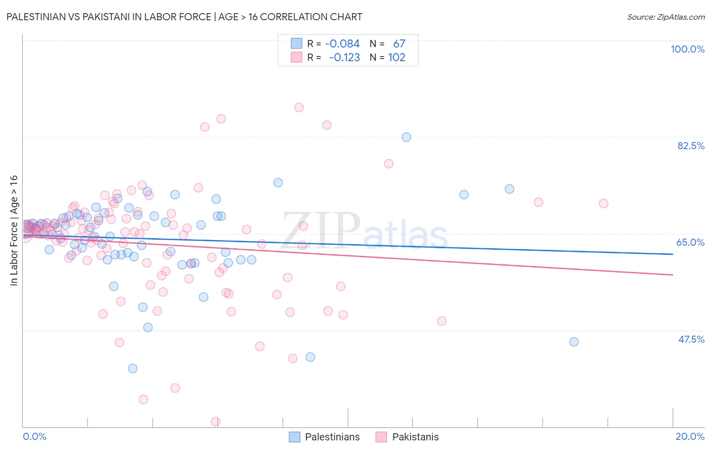 Palestinian vs Pakistani In Labor Force | Age > 16