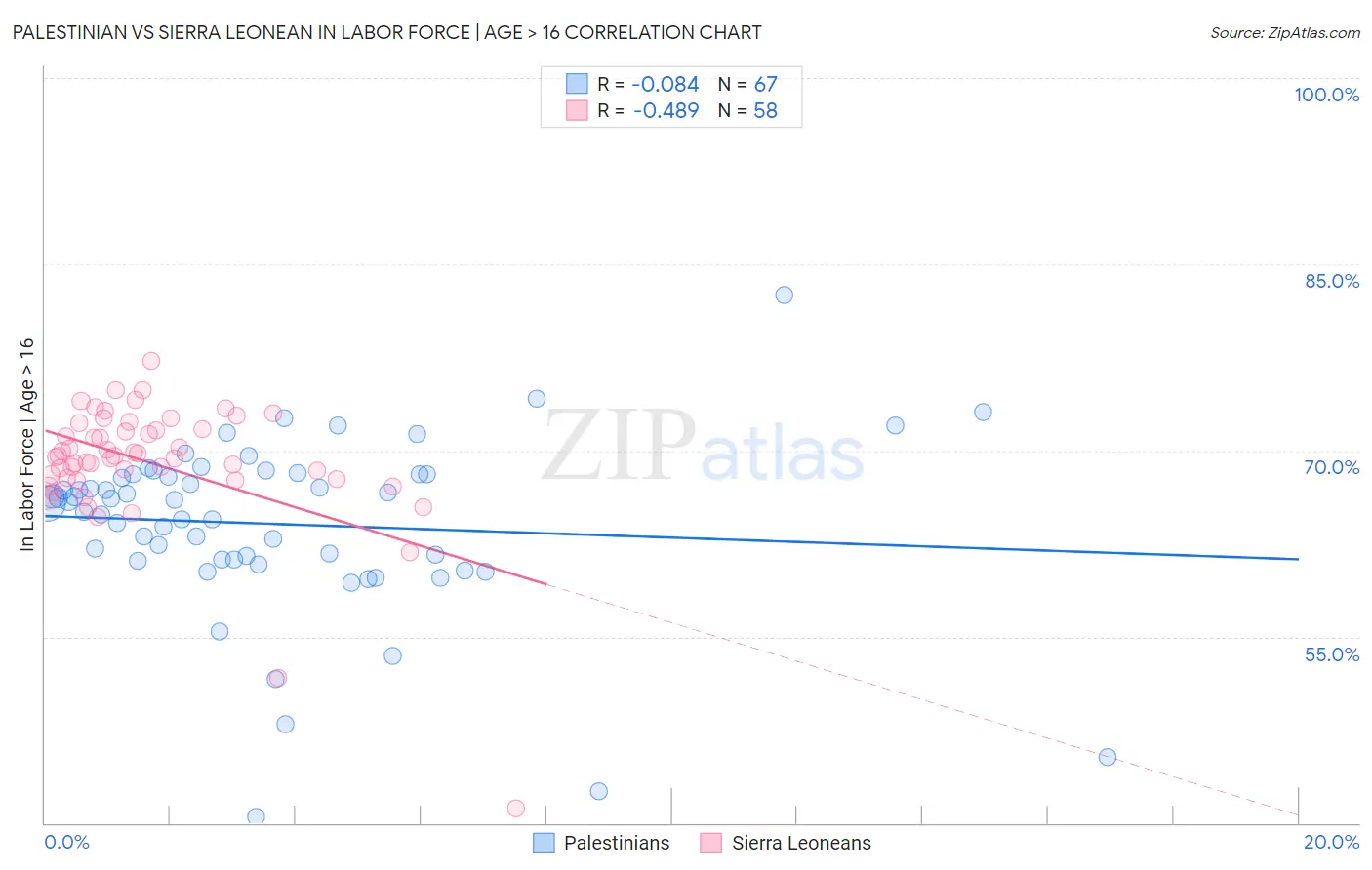 Palestinian vs Sierra Leonean In Labor Force | Age > 16