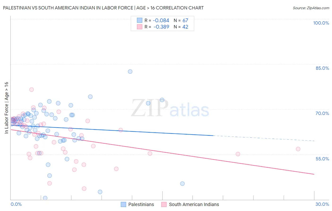 Palestinian vs South American Indian In Labor Force | Age > 16