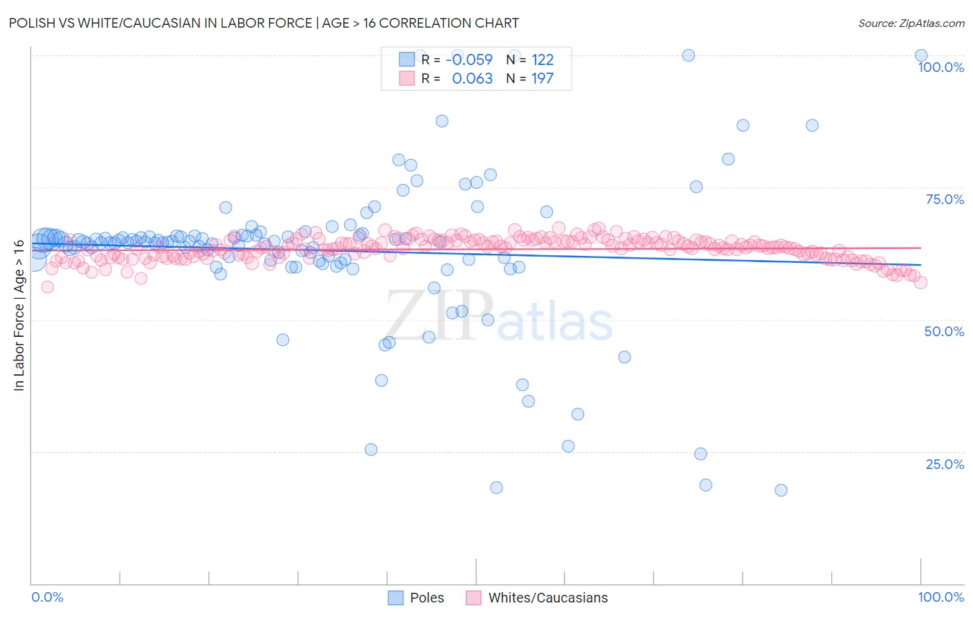 Polish vs White/Caucasian In Labor Force | Age > 16