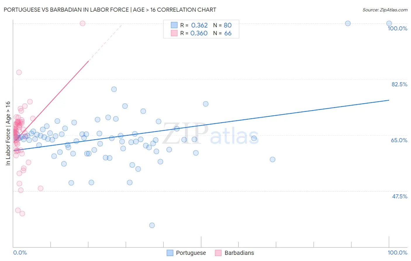 Portuguese vs Barbadian In Labor Force | Age > 16