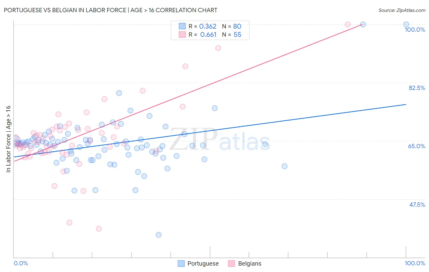 Portuguese vs Belgian In Labor Force | Age > 16