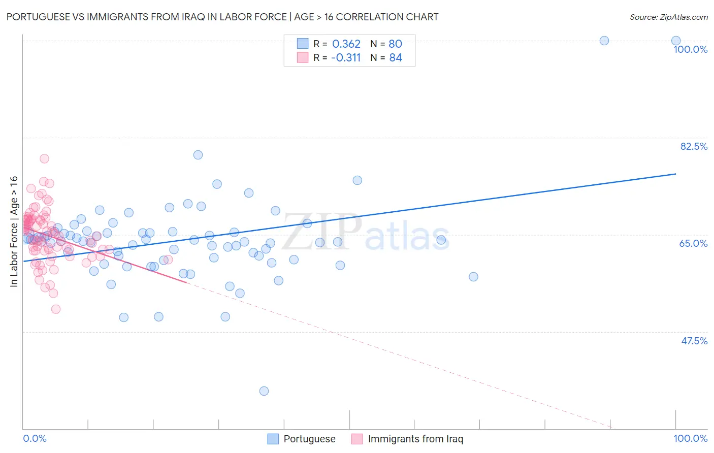 Portuguese vs Immigrants from Iraq In Labor Force | Age > 16