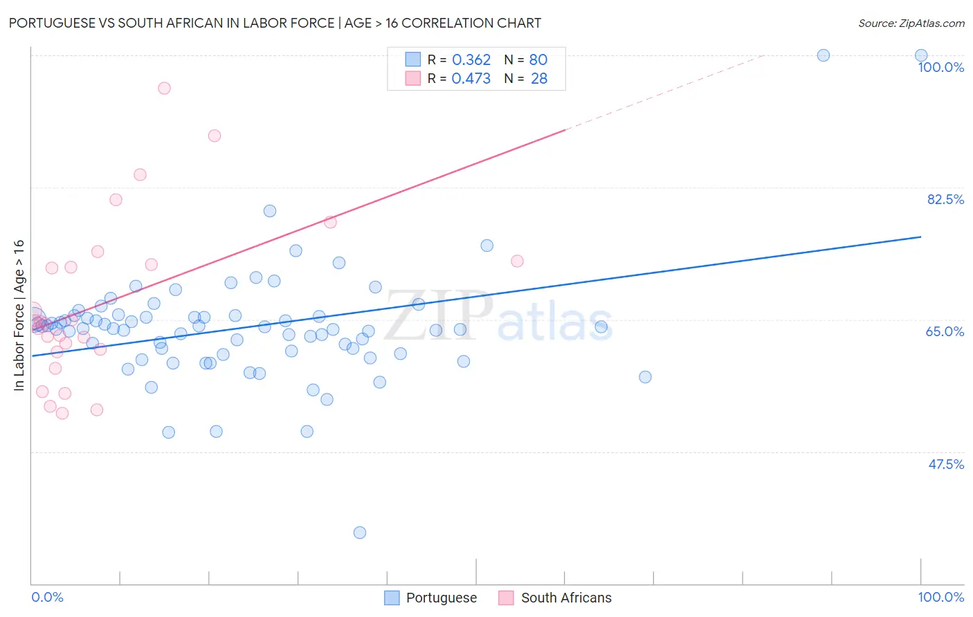 Portuguese vs South African In Labor Force | Age > 16