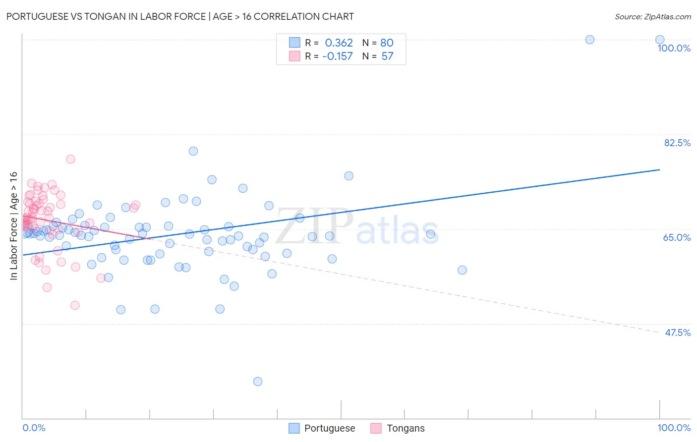 Portuguese vs Tongan In Labor Force | Age > 16