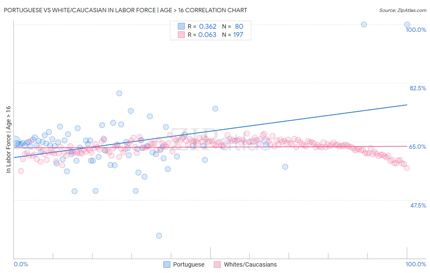Portuguese vs White/Caucasian In Labor Force | Age > 16