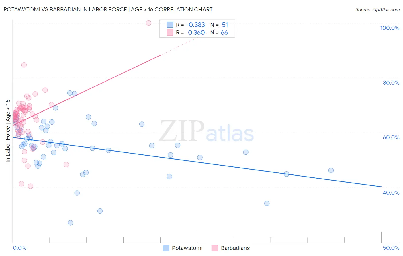 Potawatomi vs Barbadian In Labor Force | Age > 16