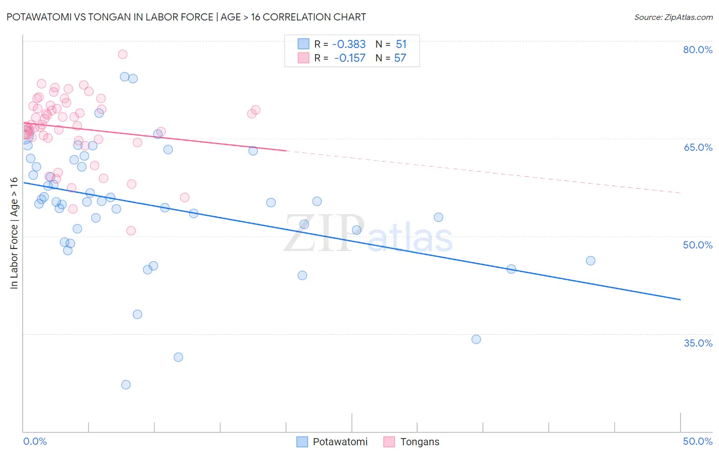 Potawatomi vs Tongan In Labor Force | Age > 16