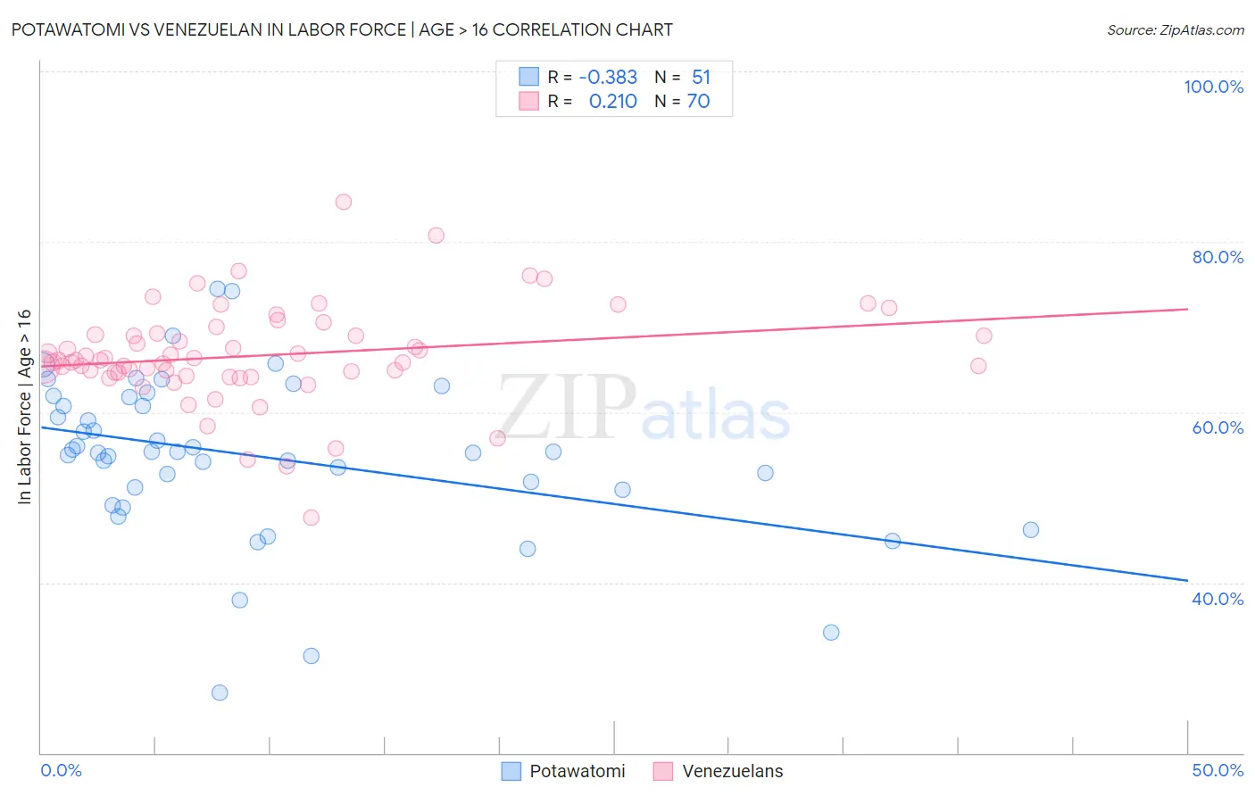 Potawatomi vs Venezuelan In Labor Force | Age > 16