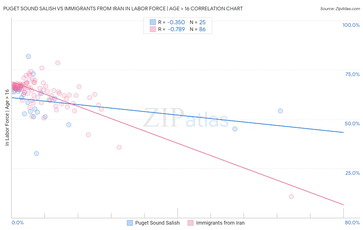 Puget Sound Salish vs Immigrants from Iran In Labor Force | Age > 16