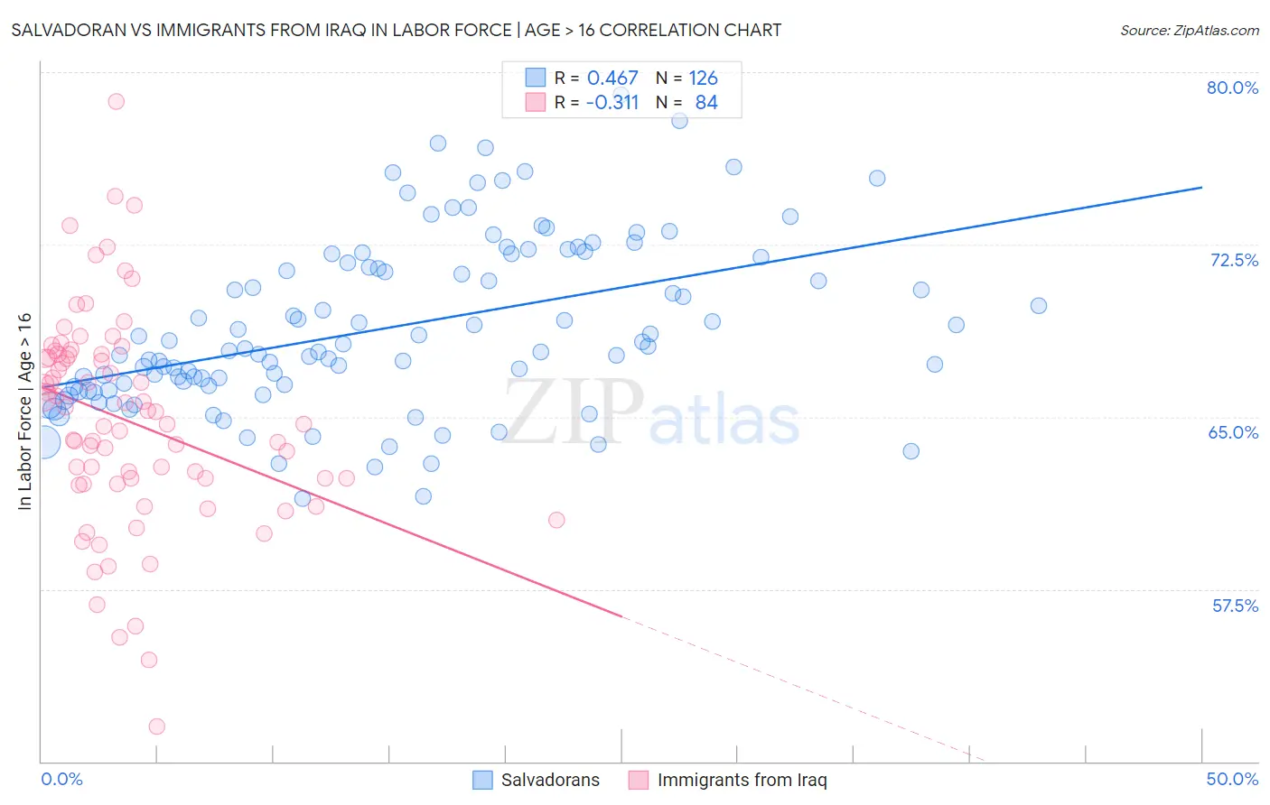 Salvadoran vs Immigrants from Iraq In Labor Force | Age > 16
