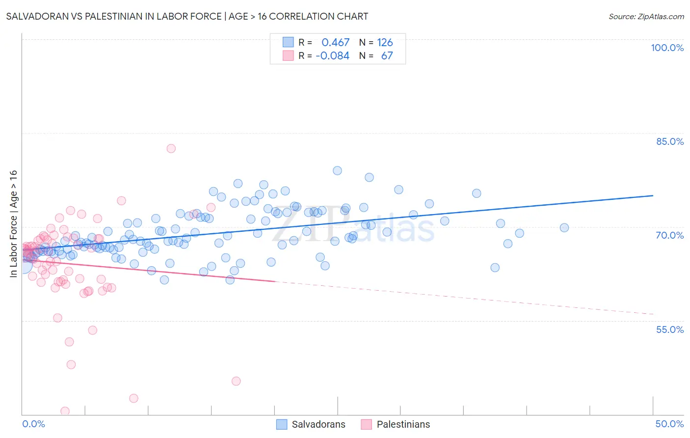 Salvadoran vs Palestinian In Labor Force | Age > 16
