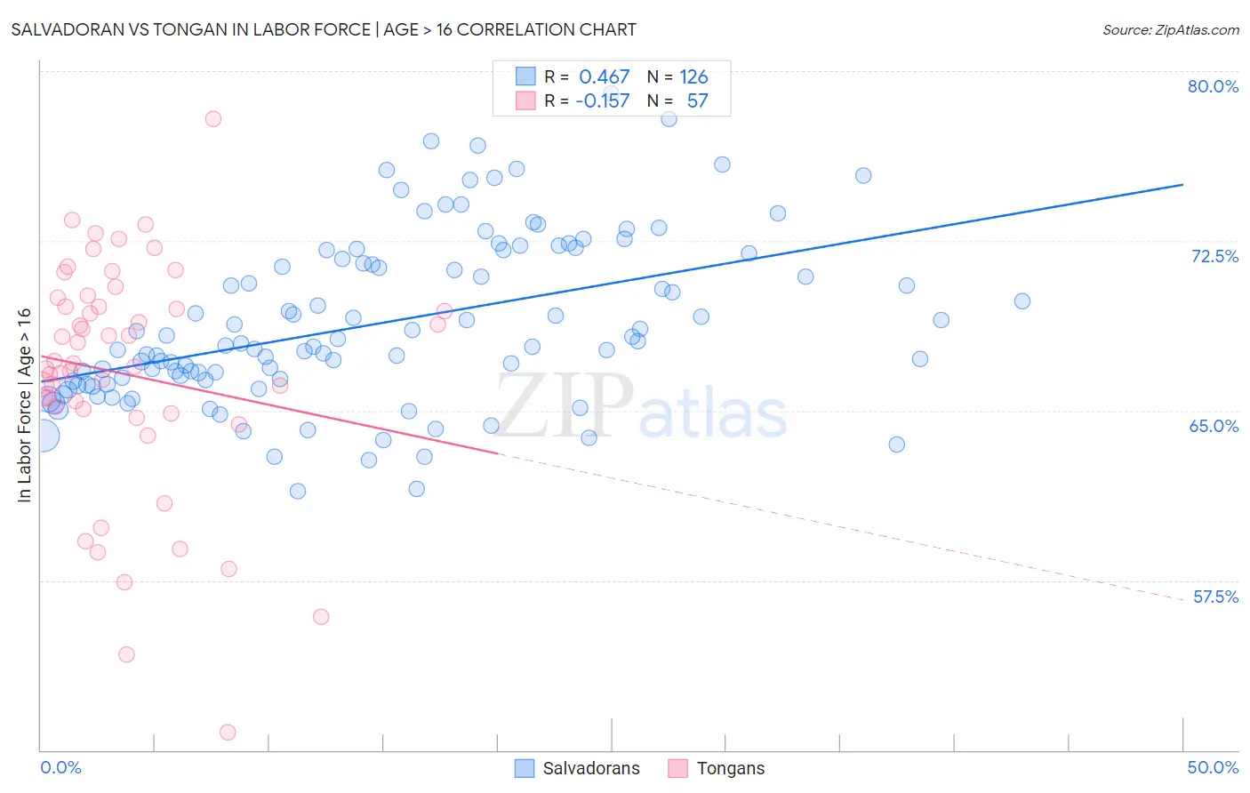Salvadoran vs Tongan In Labor Force | Age > 16