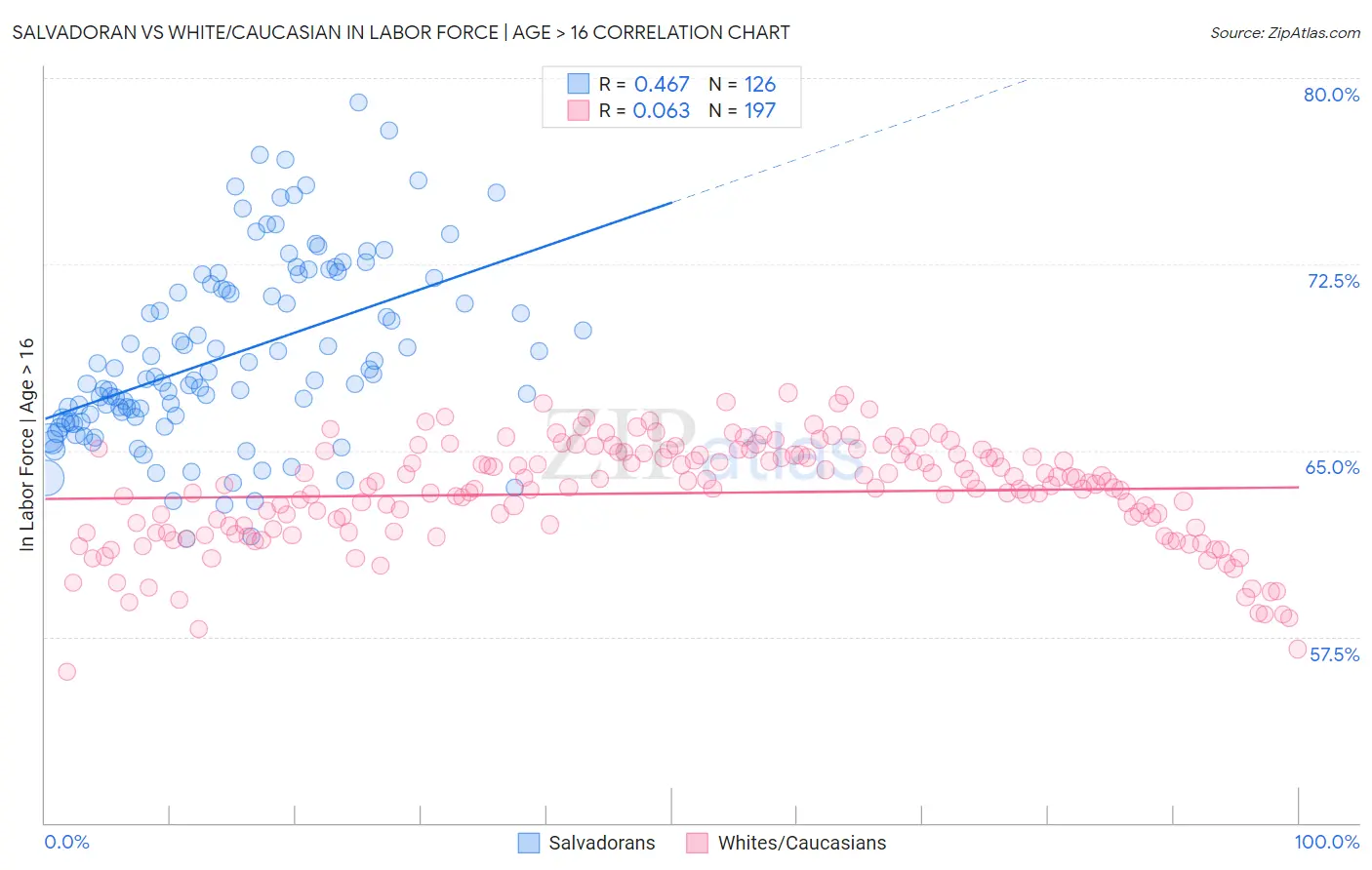 Salvadoran vs White/Caucasian In Labor Force | Age > 16