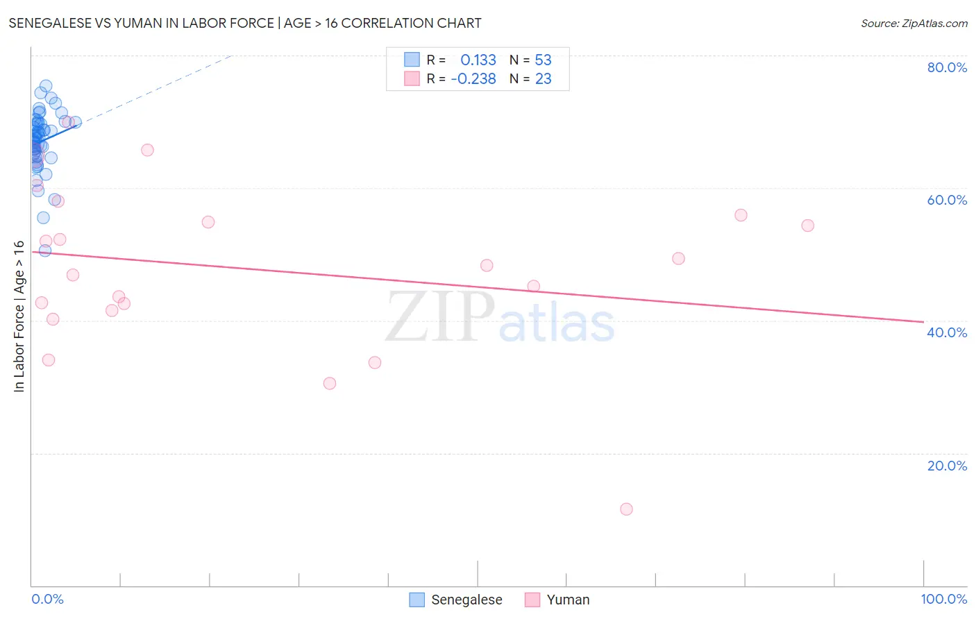Senegalese vs Yuman In Labor Force | Age > 16