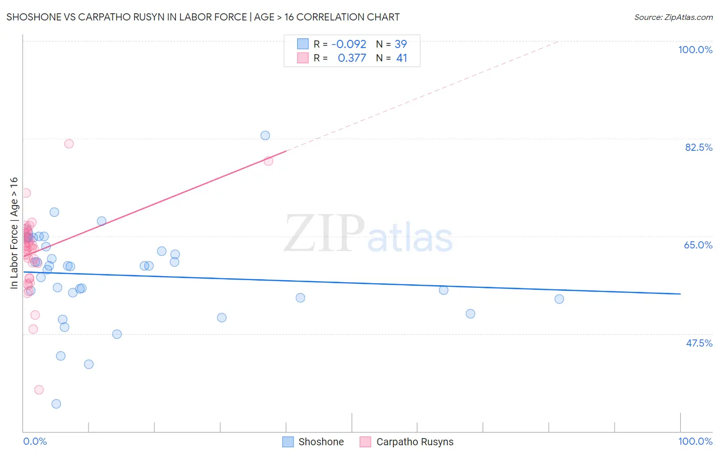 Shoshone vs Carpatho Rusyn In Labor Force | Age > 16