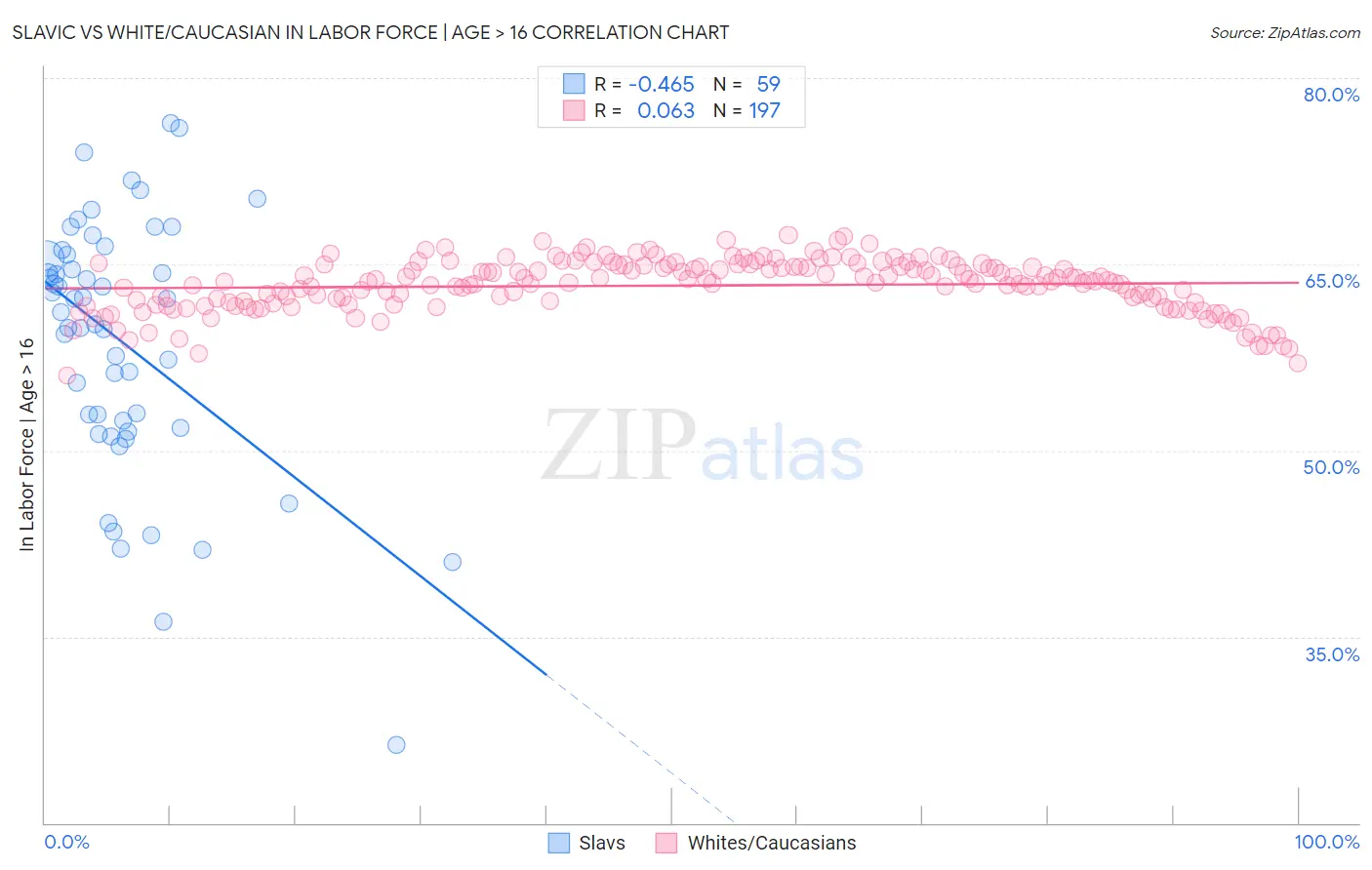 Slavic vs White/Caucasian In Labor Force | Age > 16