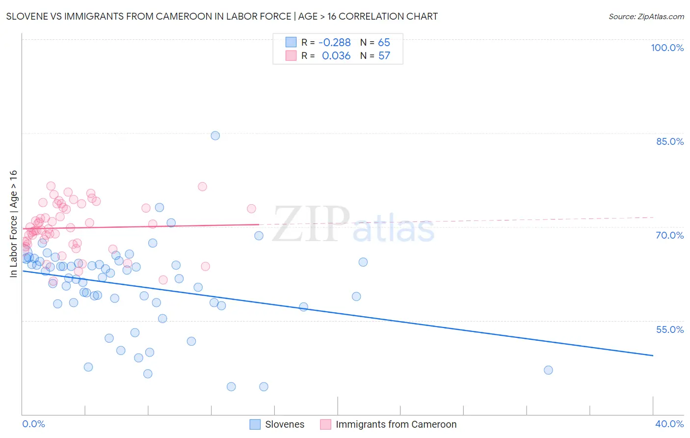Slovene vs Immigrants from Cameroon In Labor Force | Age > 16