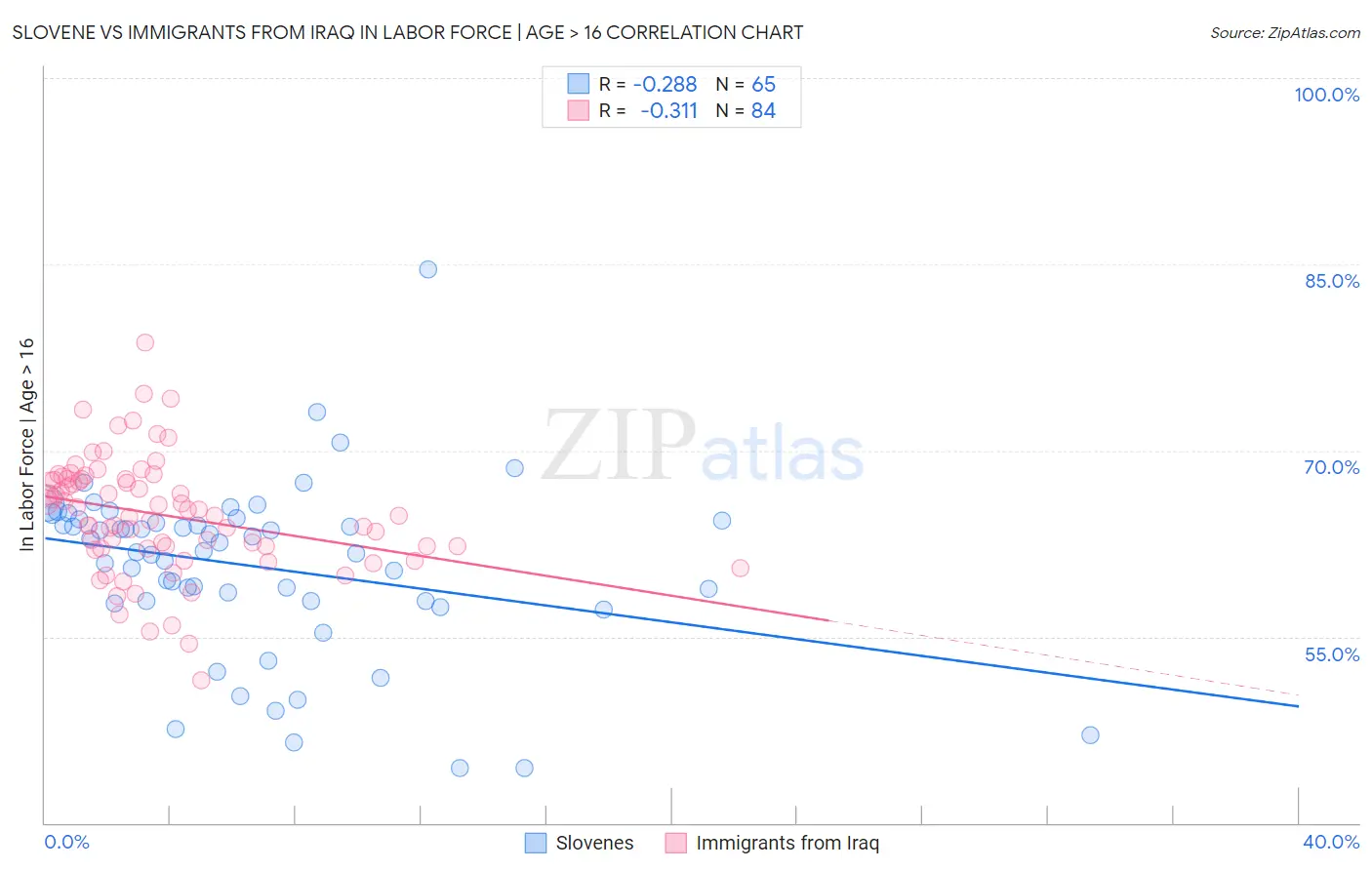 Slovene vs Immigrants from Iraq In Labor Force | Age > 16